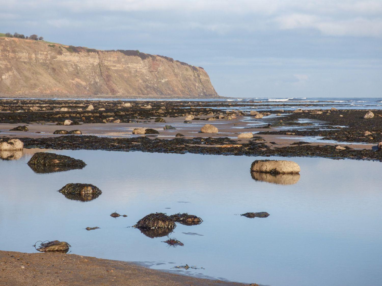 Pebble Cottage Whitby Buitenkant foto